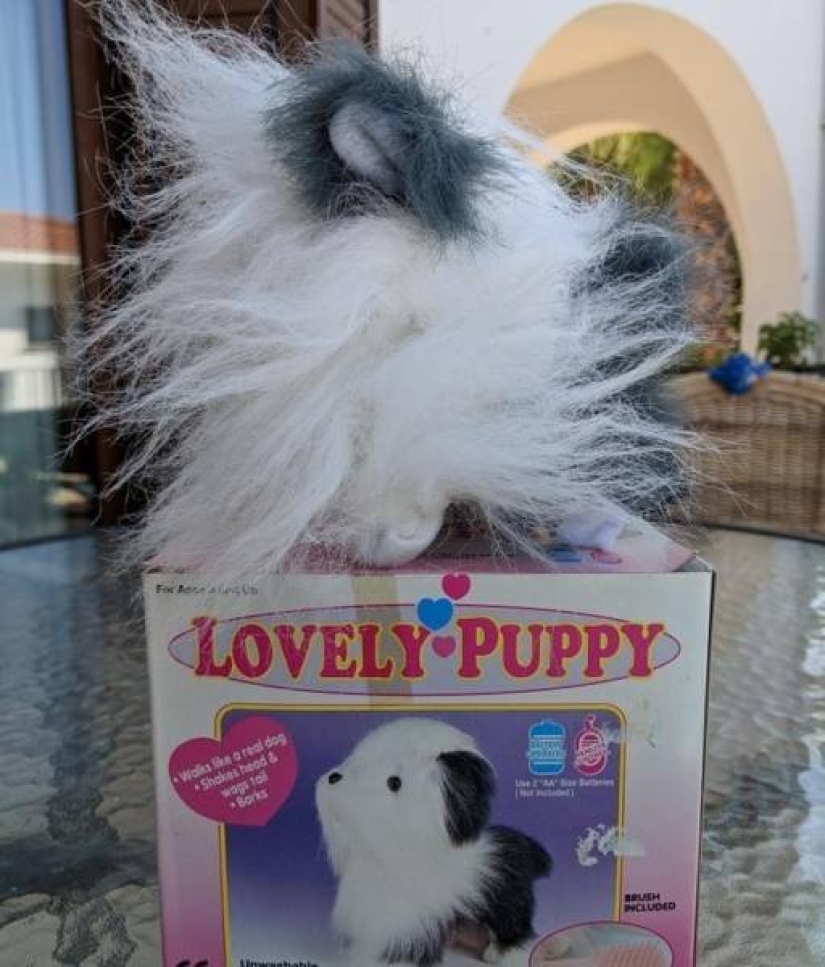 La espera frente a la realidad: una selección de fotos engañosas