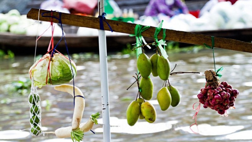 La eterna pregunta de nutrición vegana: si el sufrimiento cerebro de la falta de carne? La eterna pregunta de nutrición vegana: si el sufrimiento cerebro de la falta de carne?