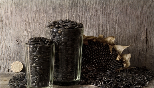 La evolución de las semillas en la Rusia de Pedro I hasta nuestros días