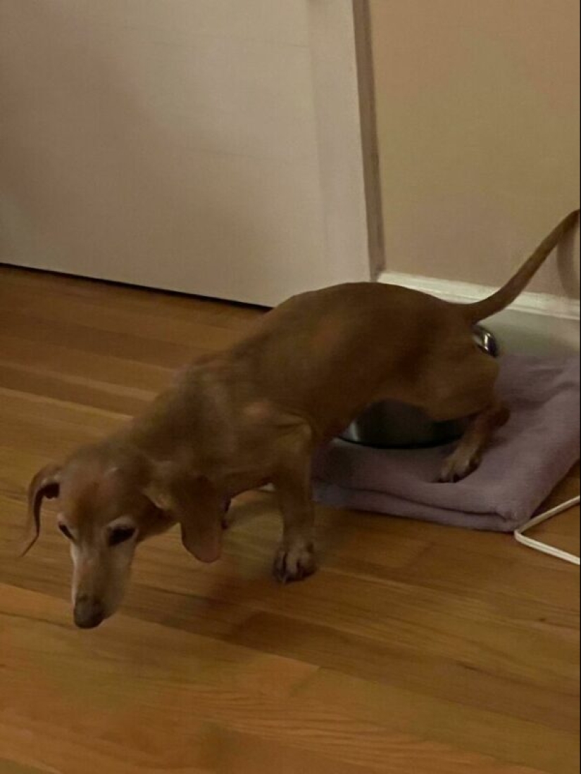 La gente mostró su mal día. Y lo lamentan de verdad La gente mostró su mal día. Y lo lamentan de verdad