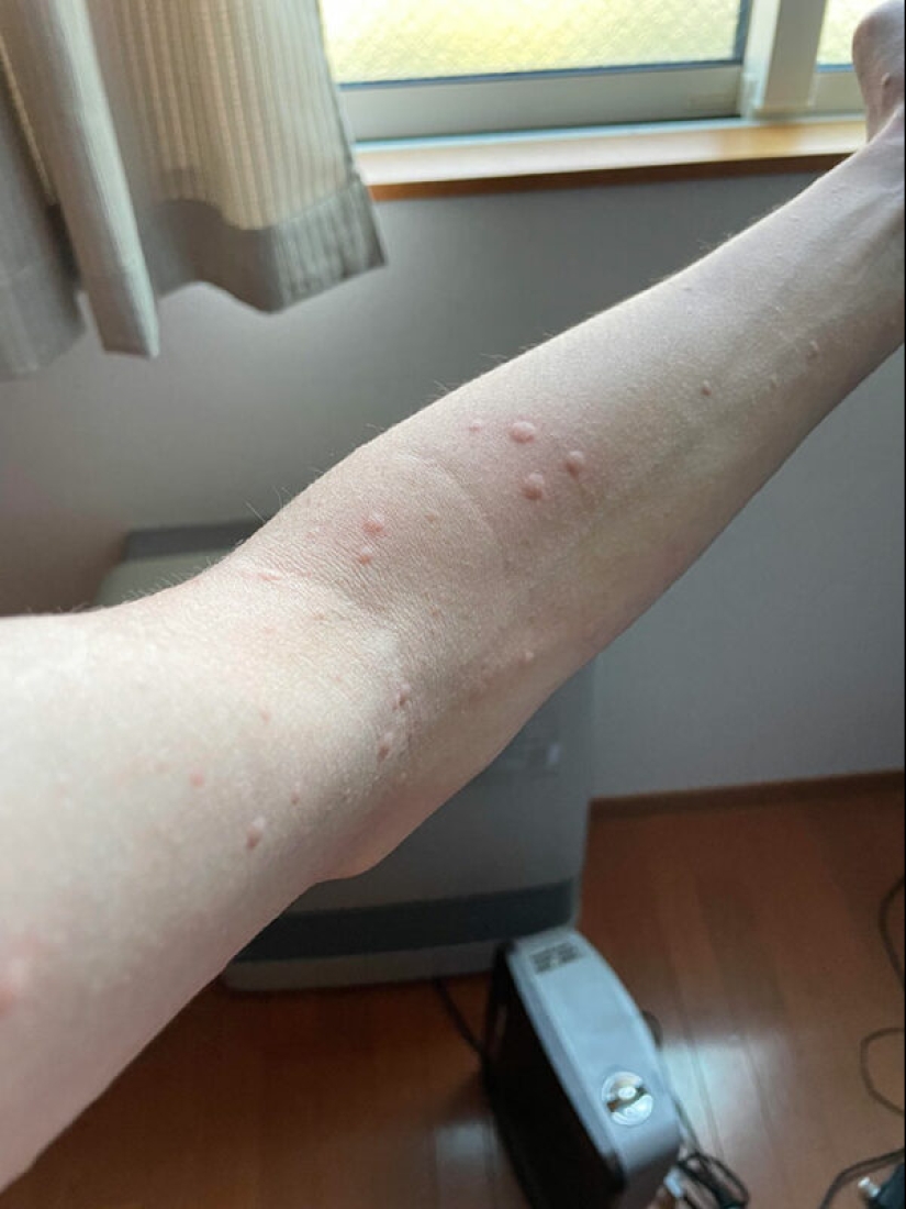 La gente mostró su mal día. Y lo lamentan de verdad La gente mostró su mal día. Y lo lamentan de verdad