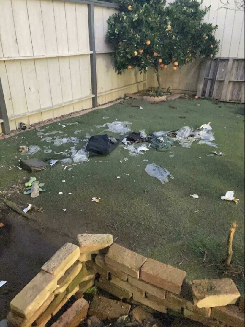 La gente mostró su mal día. Y lo lamentan de verdad La gente mostró su mal día. Y lo lamentan de verdad