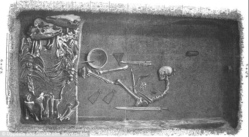 La guerra es un asunto de mujeres: el análisis de ADN confirmó la existencia de mujeres vikingas La guerra es un asunto de mujeres: el análisis de ADN confirmó la existencia de mujeres vikingas