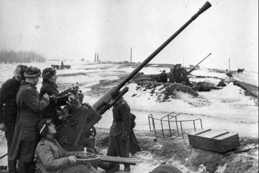 La hazaña del chofer soviético: Cómo Maxim Tverdokhleb entregó mandarinas a los niños de Leningrado asediado