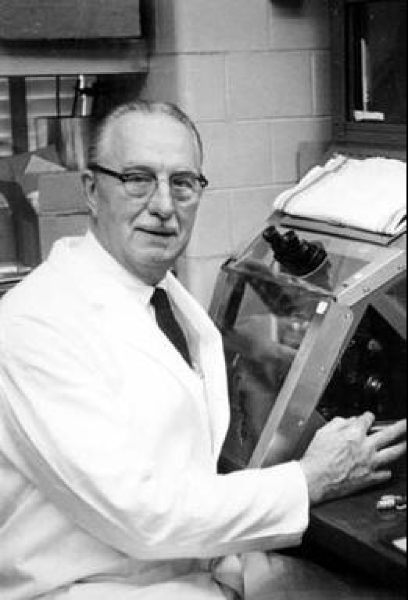 La historia de Henrietta Lacks, la mujer que revolucionó la ciencia mundial después de su muerte La historia de Henrietta Lacks, la mujer que revolucionó la ciencia mundial después de su muerte