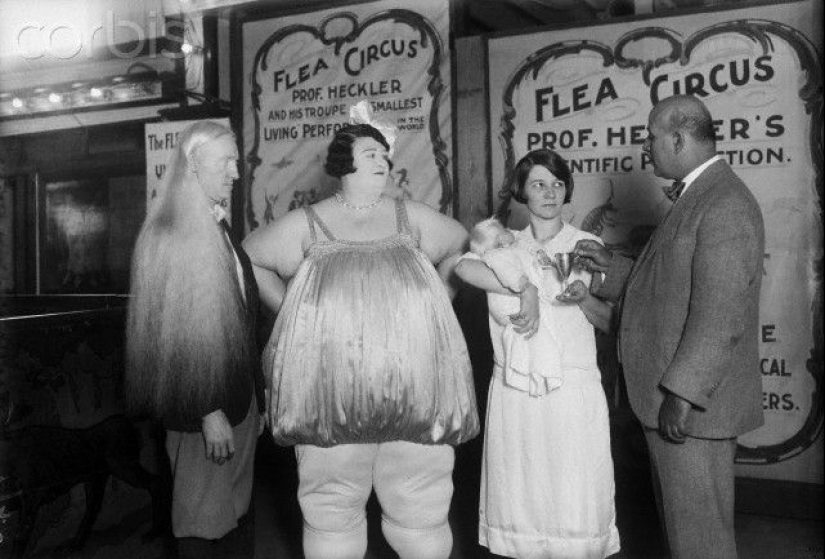 La historia de la tenaz artista de circo Dolly Dimples, que se hizo famosa por ganar peso primero y luego perderlo.