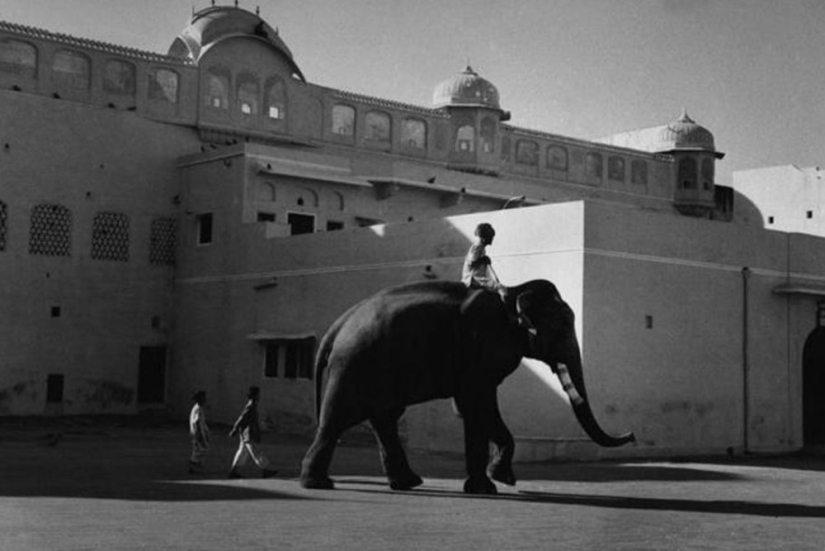 La historia de los libros de texto de Marc Ribot