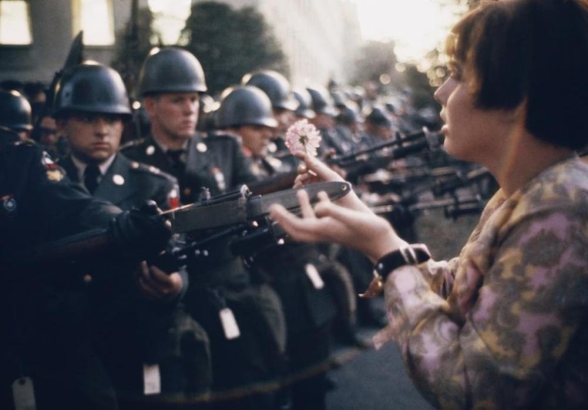 La historia de los libros de texto de Marc Ribot