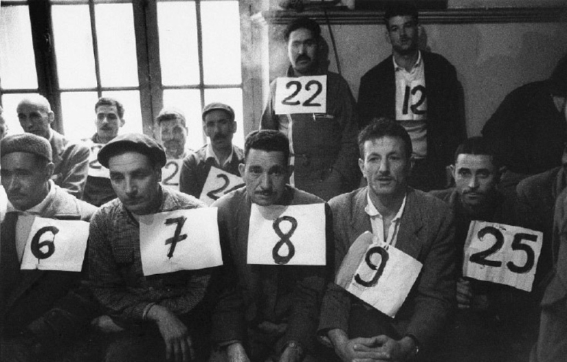 La historia de los libros de texto de Marc Ribot