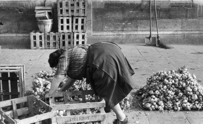 La historia de los libros de texto de Marc Ribot