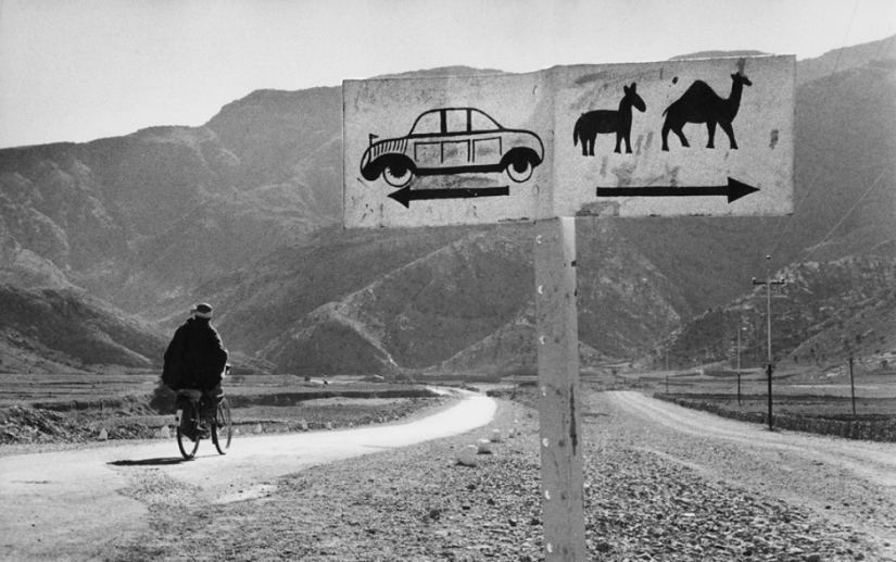 La historia de los libros de texto de Marc Ribot