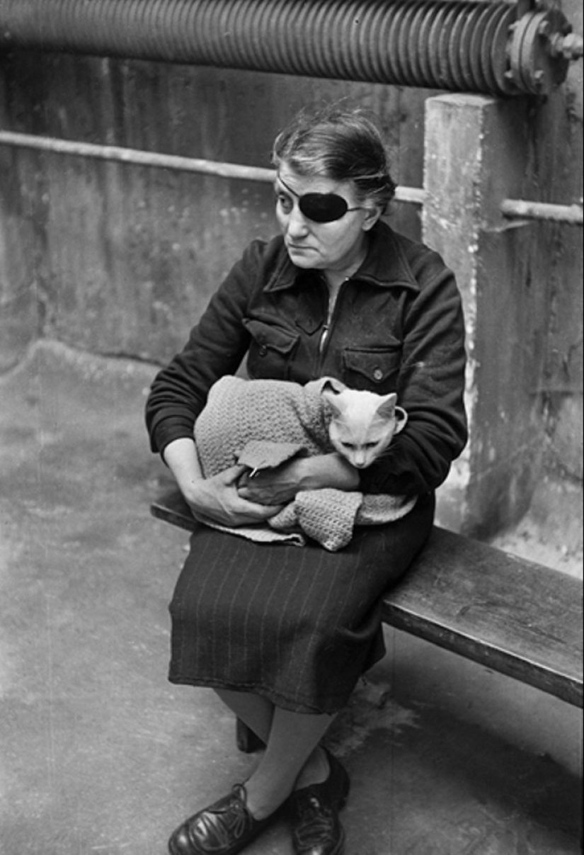 La historia de los libros de texto de Marc Ribot