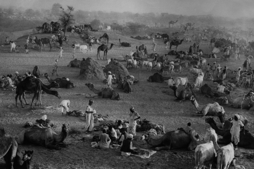 La historia de los libros de texto de Marc Ribot
