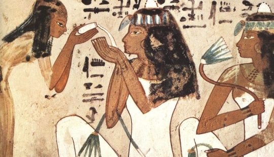 La historia mundial de la anticoncepción: telarañas, estiércol de elefante y otros medios eficaces