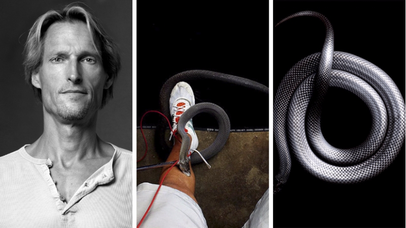 La increíble belleza de las serpientes venenosas en el proyecto fotográfico de Mark Light La increíble belleza de las serpientes venenosas en el proyecto fotográfico de Mark Light