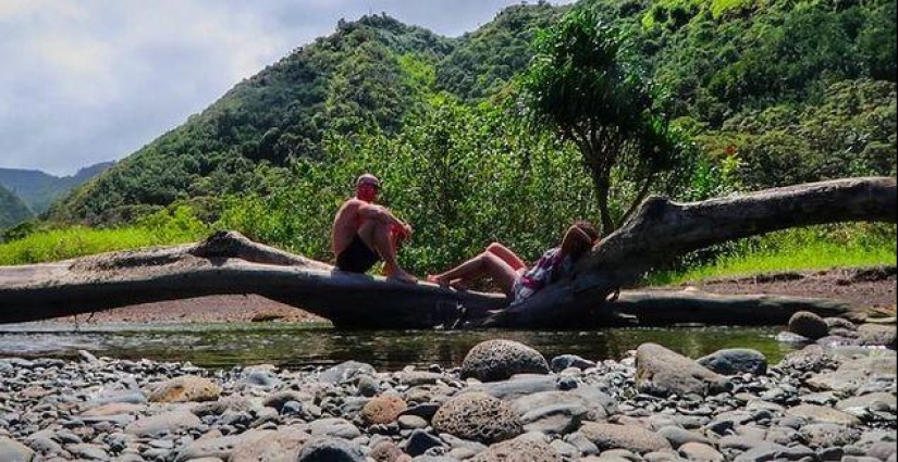 La increíble vida familiar del "calvo de Brazzers" La increíble vida familiar del "calvo de Brazzers"