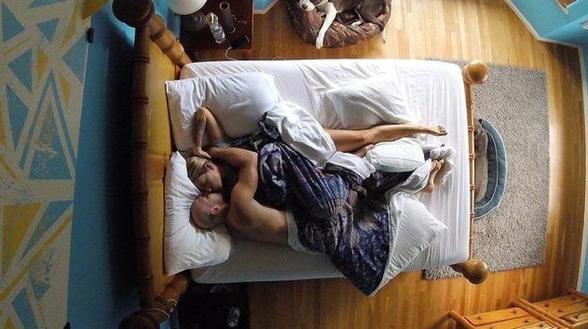 La increíble vida familiar del "calvo de Brazzers" La increíble vida familiar del "calvo de Brazzers"