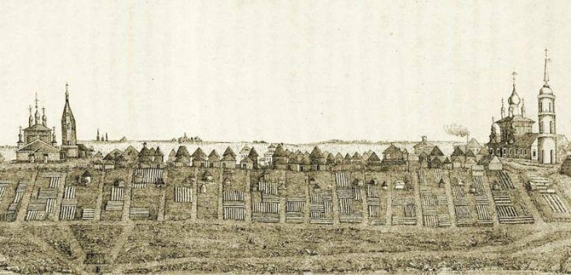 La inusual historia de los guisantes: un veterano en la mesa navideña La inusual historia de los guisantes: un veterano en la mesa navideña