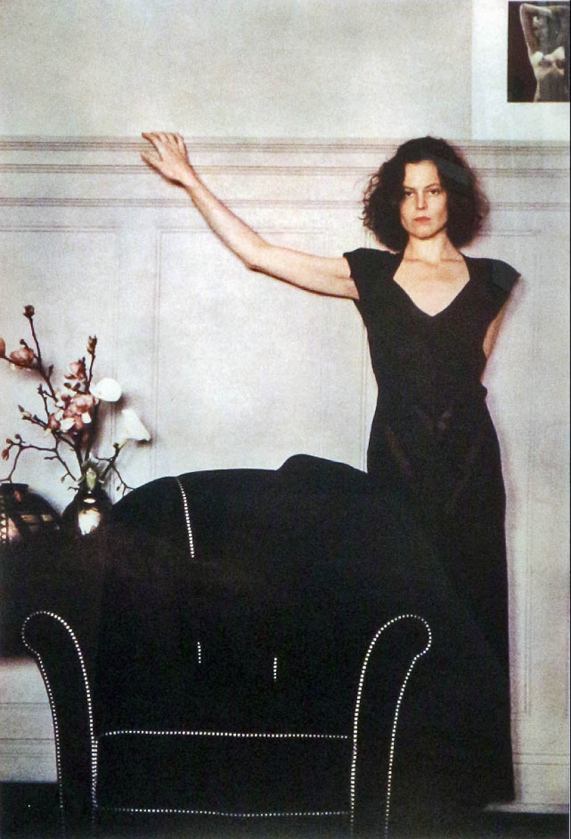 "La magia Metzner": las mejores fotos del fotógrafo, quien disparó el Basinger, Lynch y Woodstock "La magia Metzner": las mejores fotos del fotógrafo, quien disparó el Basinger, Lynch y Woodstock