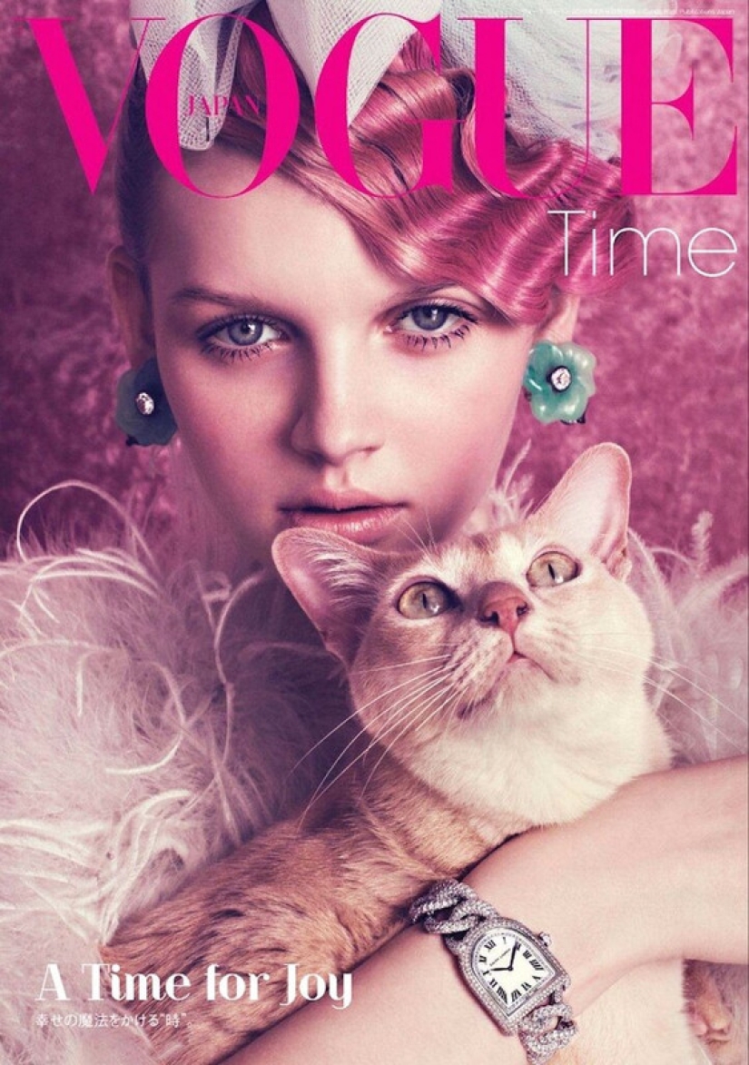 La modelo Celia Hammond y sus gatos
