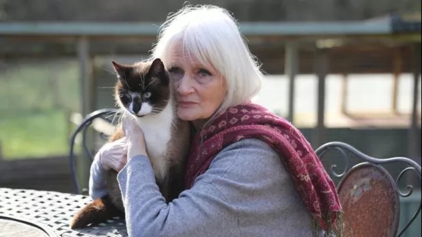 La modelo Celia Hammond y sus gatos