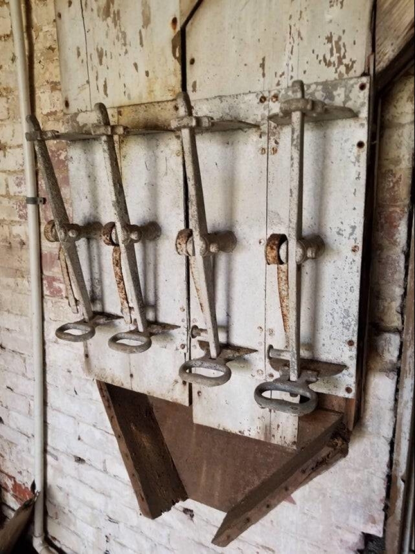 La moña servilleta y 22 más cosas cuyo significado se explica que la mente colectiva