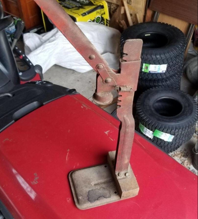 La moña servilleta y 22 más cosas cuyo significado se explica que la mente colectiva