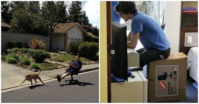 La pereza-madre: 22 creaciones de razdolbaev, que hacen todo descuidadamente La pereza-madre: 22 creaciones de razdolbaev, que hacen todo descuidadamente