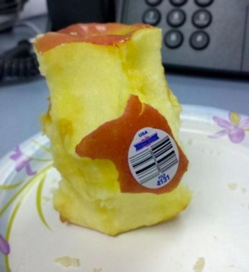 La pereza-madre: 22 creaciones de razdolbaev, que hacen todo descuidadamente La pereza-madre: 22 creaciones de razdolbaev, que hacen todo descuidadamente