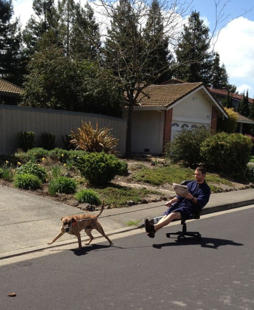 La pereza-madre: 22 creaciones de razdolbaev, que hacen todo descuidadamente La pereza-madre: 22 creaciones de razdolbaev, que hacen todo descuidadamente