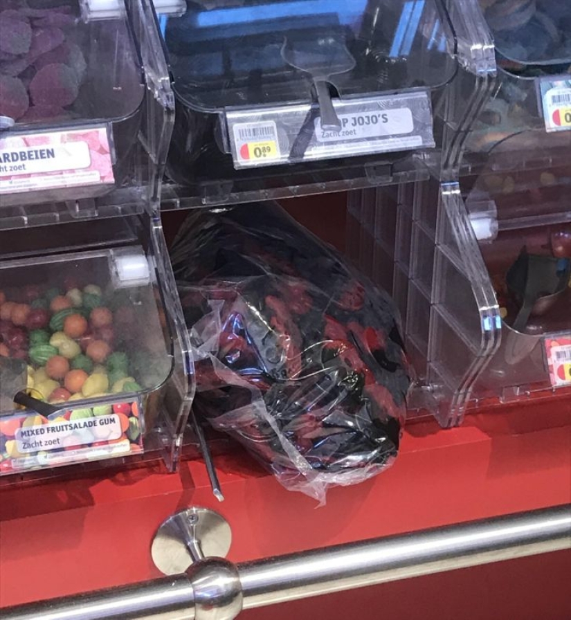 La pereza-madre: 22 creaciones de razdolbaev, que hacen todo descuidadamente La pereza-madre: 22 creaciones de razdolbaev, que hacen todo descuidadamente