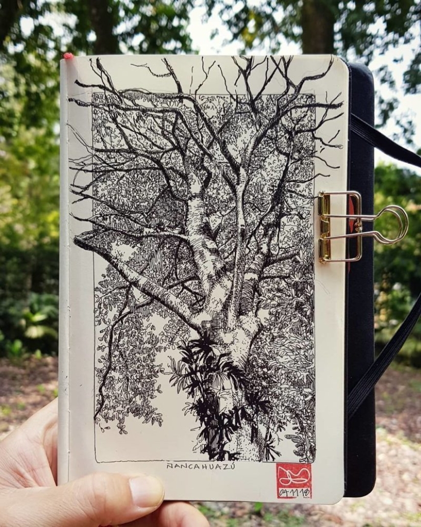 La realidad es transferida al papel: la increíble bocetos del arquitecto desde Colombia