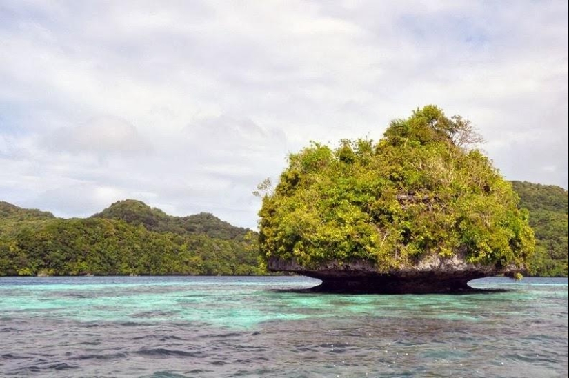 La rocosa isla de Palau