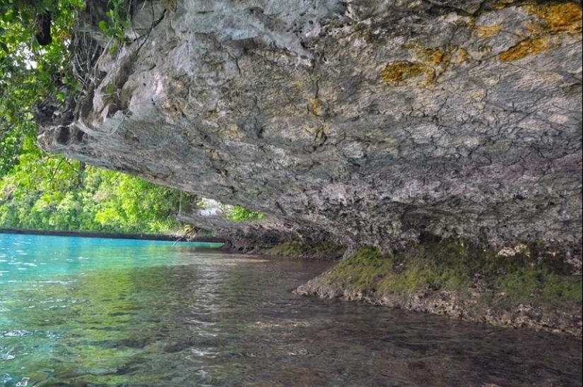 La rocosa isla de Palau