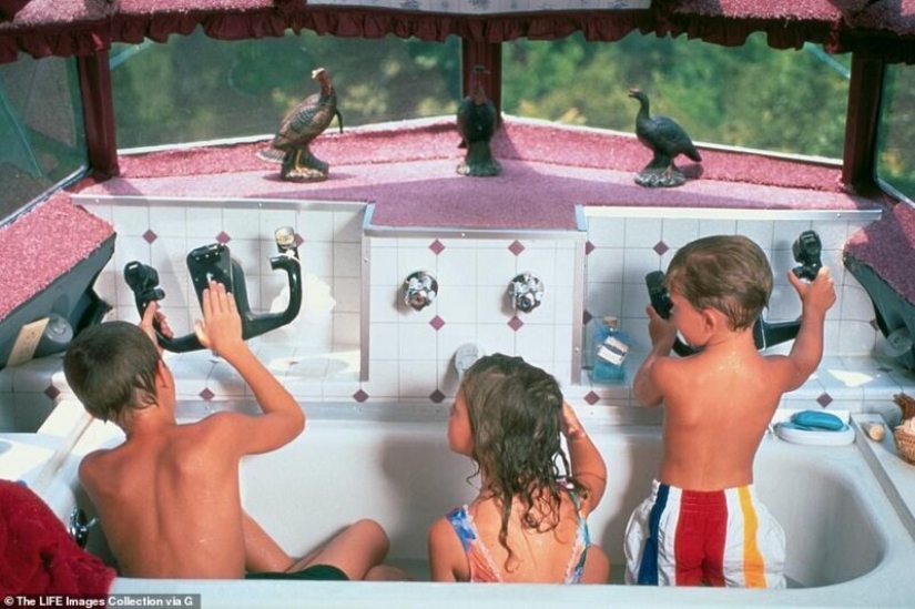 La transformación de la antigua "Boeing" en una acogedora casa sobre el lago