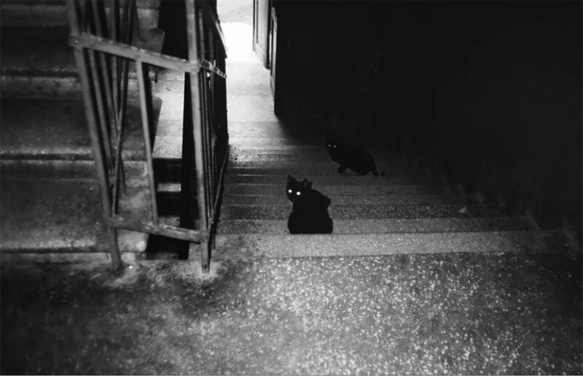 La unión Soviética "deshielo" de la década de 1960 a través de la lente de Vladimir Lagrange La unión Soviética "deshielo" de la década de 1960 a través de la lente de Vladimir Lagrange