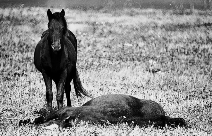 La unión Soviética "deshielo" de la década de 1960 a través de la lente de Vladimir Lagrange La unión Soviética "deshielo" de la década de 1960 a través de la lente de Vladimir Lagrange
