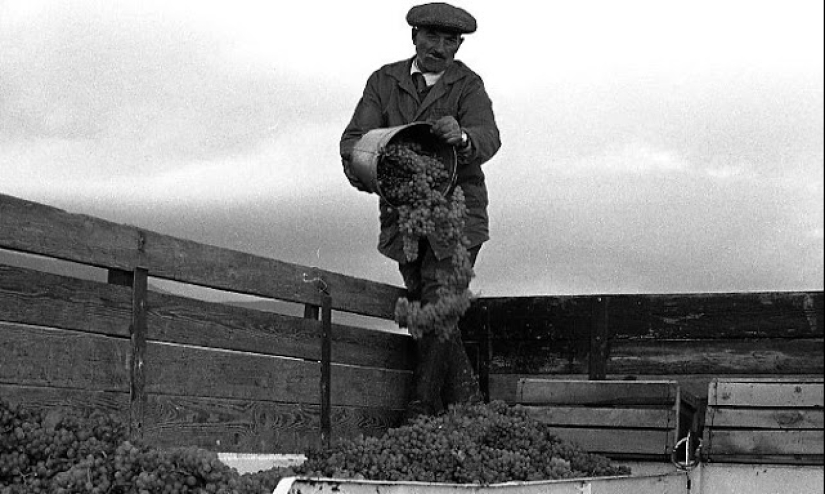 La vida cotidiana en la Georgia soviética en 1976, capturada por un fotógrafo sueco La vida cotidiana en la Georgia soviética en 1976, capturada por un fotógrafo sueco