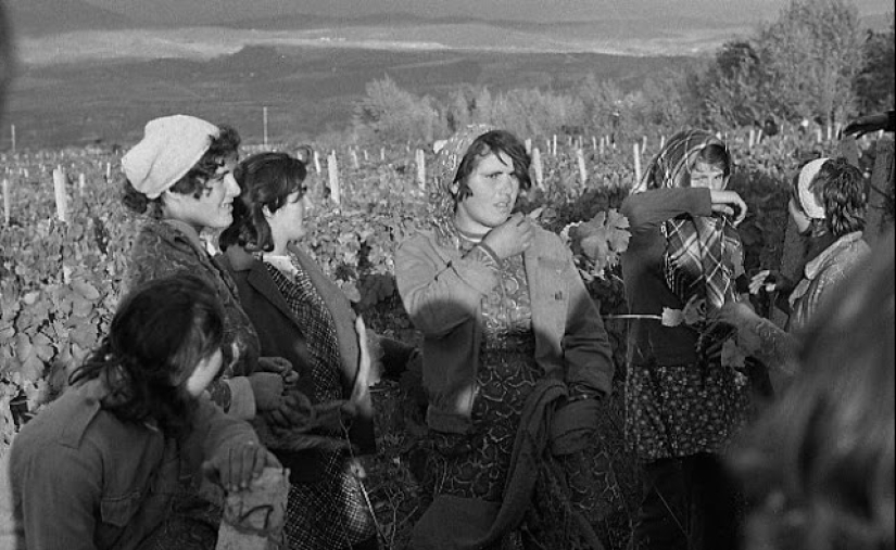 La vida cotidiana en la Georgia soviética en 1976, capturada por un fotógrafo sueco La vida cotidiana en la Georgia soviética en 1976, capturada por un fotógrafo sueco