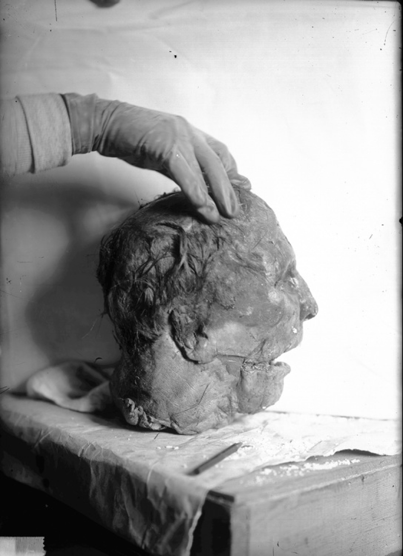 La viuda negra Belle Gunness que mató a sus propios hijos, maridos y amantes de la 42 La viuda negra Belle Gunness que mató a sus propios hijos, maridos y amantes de la 42