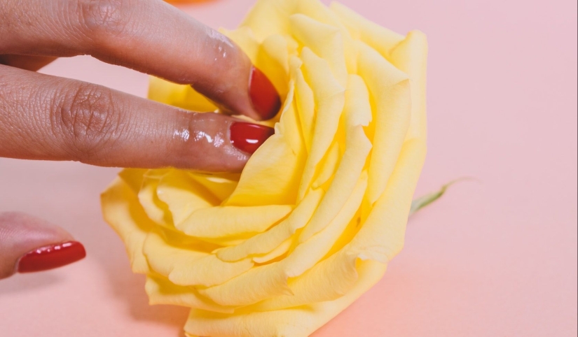 La vulva y la vagina no son lo mismo + 8 más datos sobre el órgano genital femenino La vulva y la vagina no son lo mismo + 8 más datos sobre el órgano genital femenino