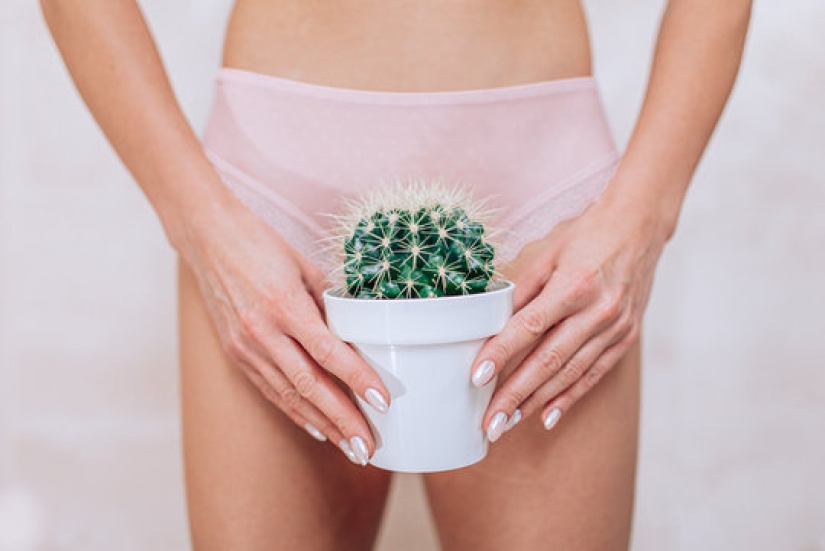 La vulva y la vagina no son lo mismo + 8 más datos sobre el órgano genital femenino La vulva y la vagina no son lo mismo + 8 más datos sobre el órgano genital femenino