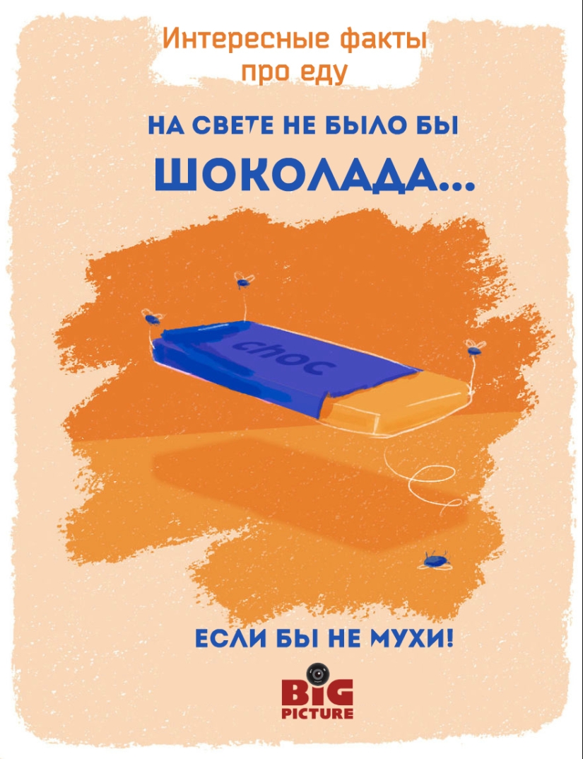 Labels on fruits can be eaten! 20 unusual facts about food