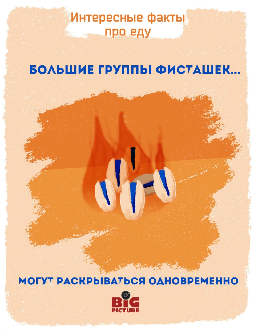 Labels on fruits can be eaten! 20 unusual facts about food