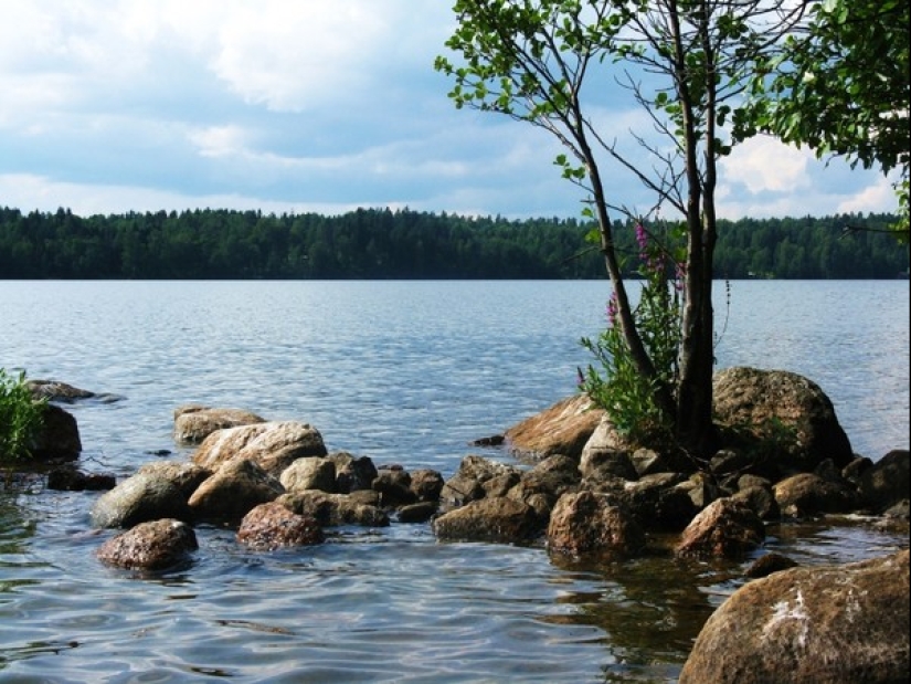Lake Bodom massacre: Who killed Finnish teenagers on a summer night?