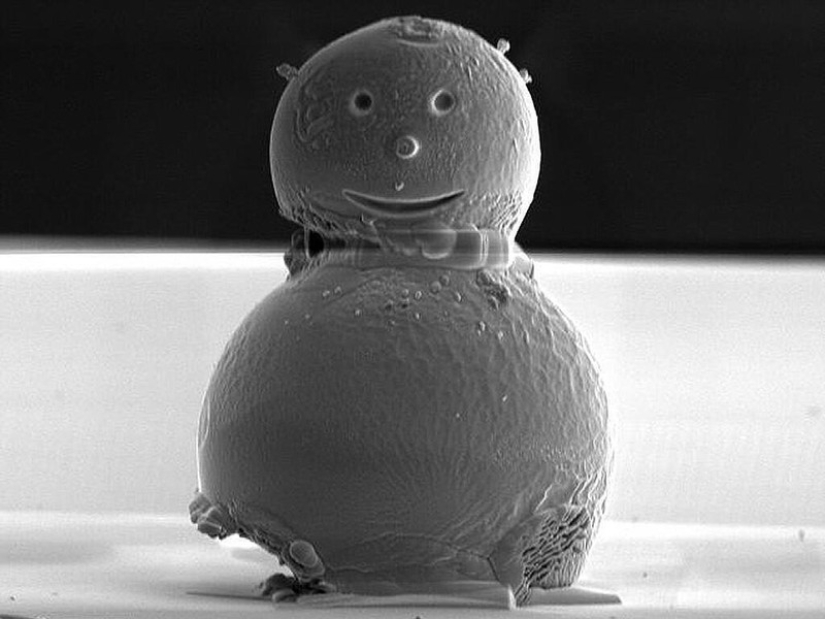 Las 10 cosas más microscópicas jamás creadas
