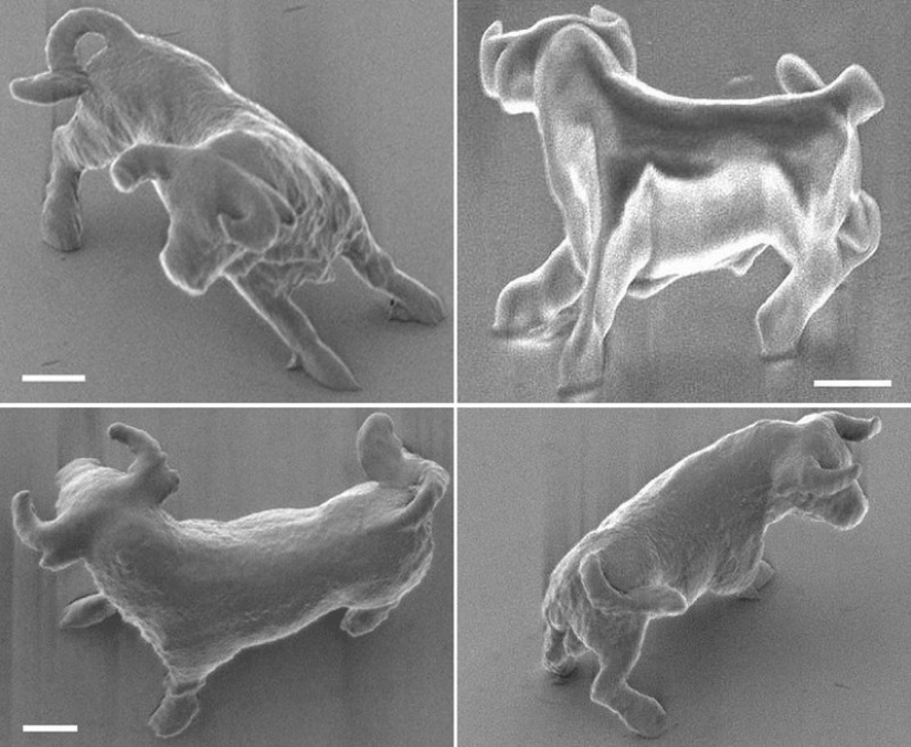Las 10 cosas más microscópicas jamás creadas