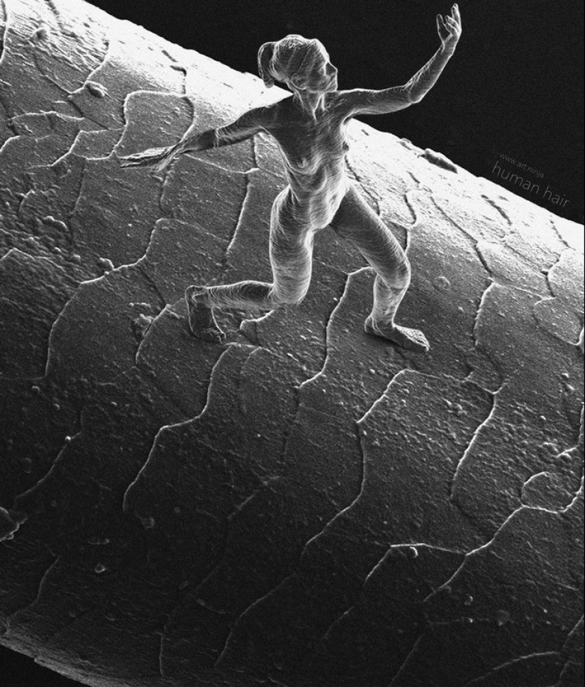 Las 10 cosas más microscópicas jamás creadas