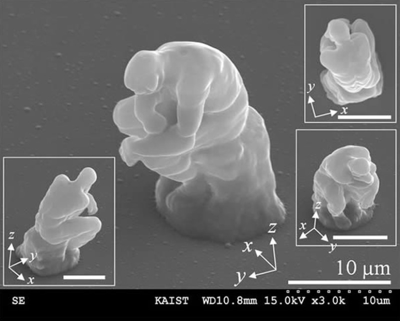 Las 10 cosas más microscópicas jamás creadas