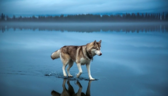 Las 100 mejores fotos sin photoshop Las 100 mejores fotos sin photoshop